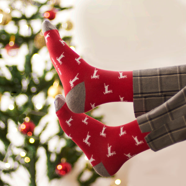 Gift box of 3 - Cheerful Christmas Socks for men